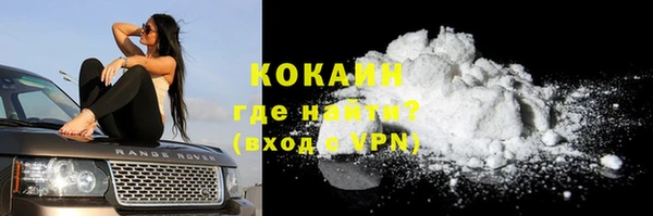 мет Ладушкин