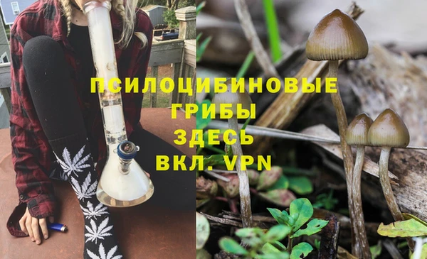 мет Ладушкин