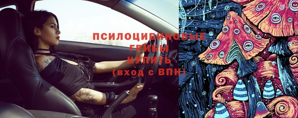 мет Ладушкин