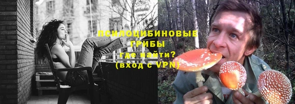 мет Ладушкин